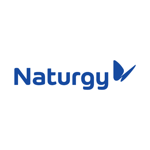 Naturgy